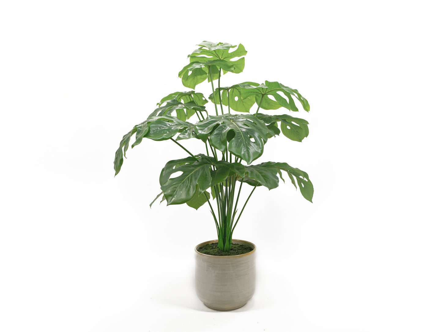 Artificial Green Plants