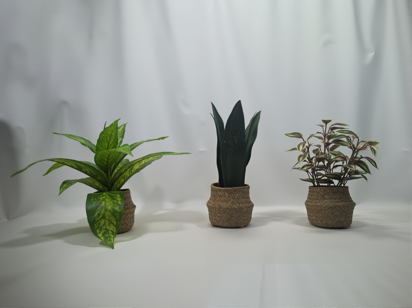 Artificial Green Plants