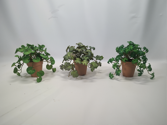 Artificial Green Plants
