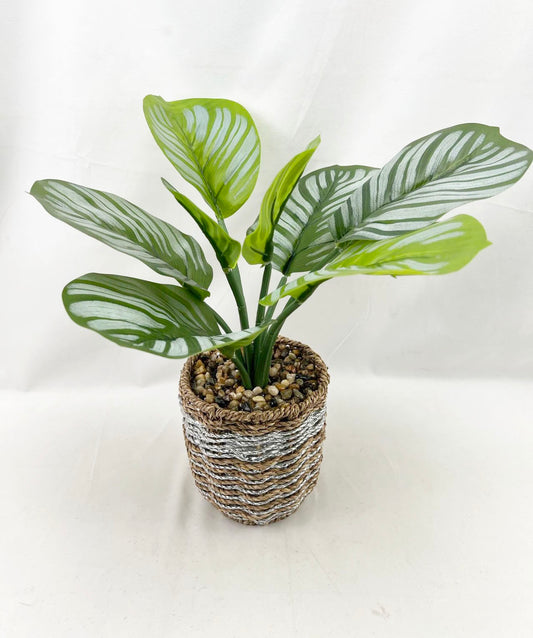 Artificial Green Plants