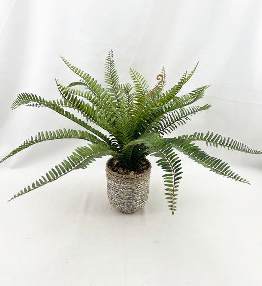 Artificial Green Plants