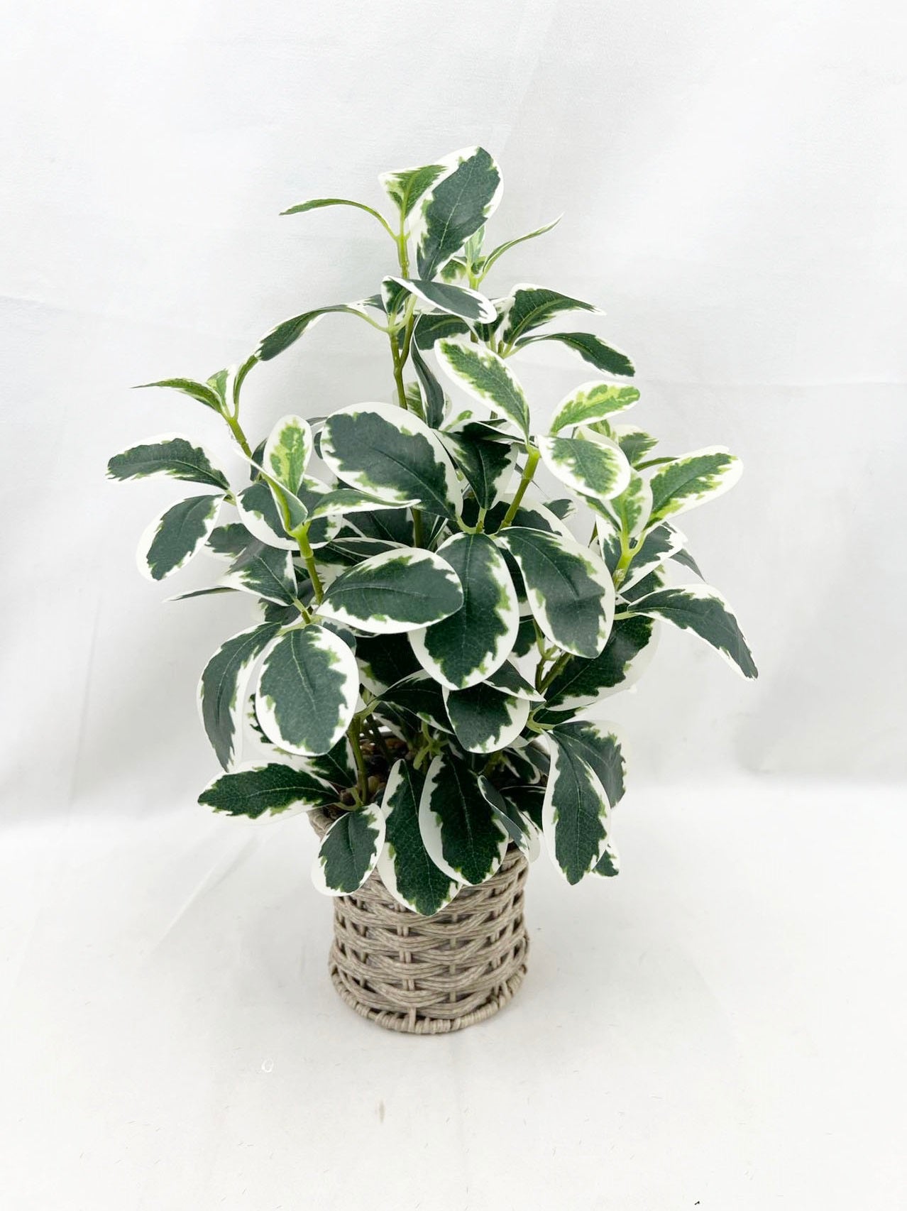 Artificial Green Plants