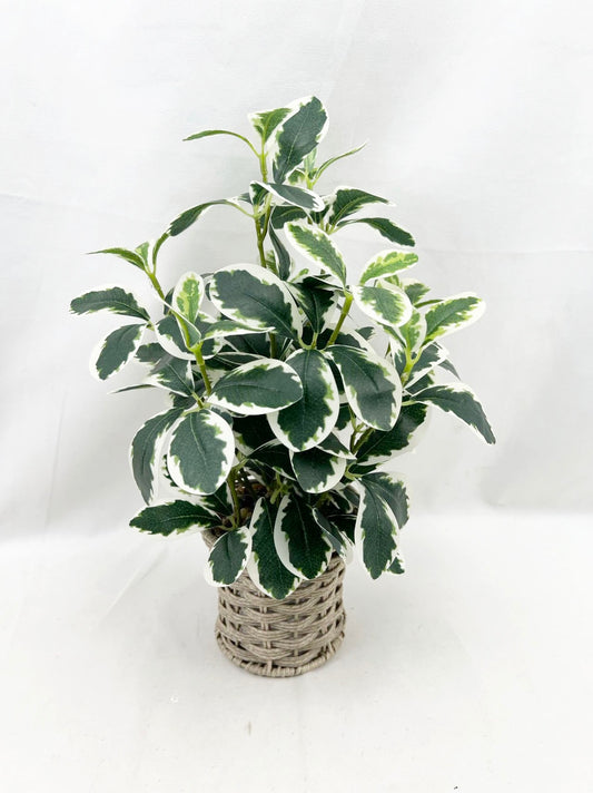 Artificial Green Plants