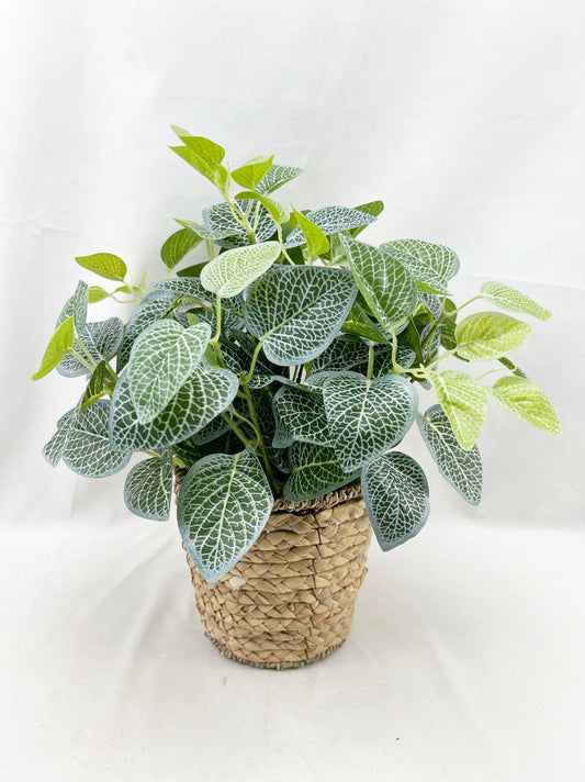 Artificial Green Plants