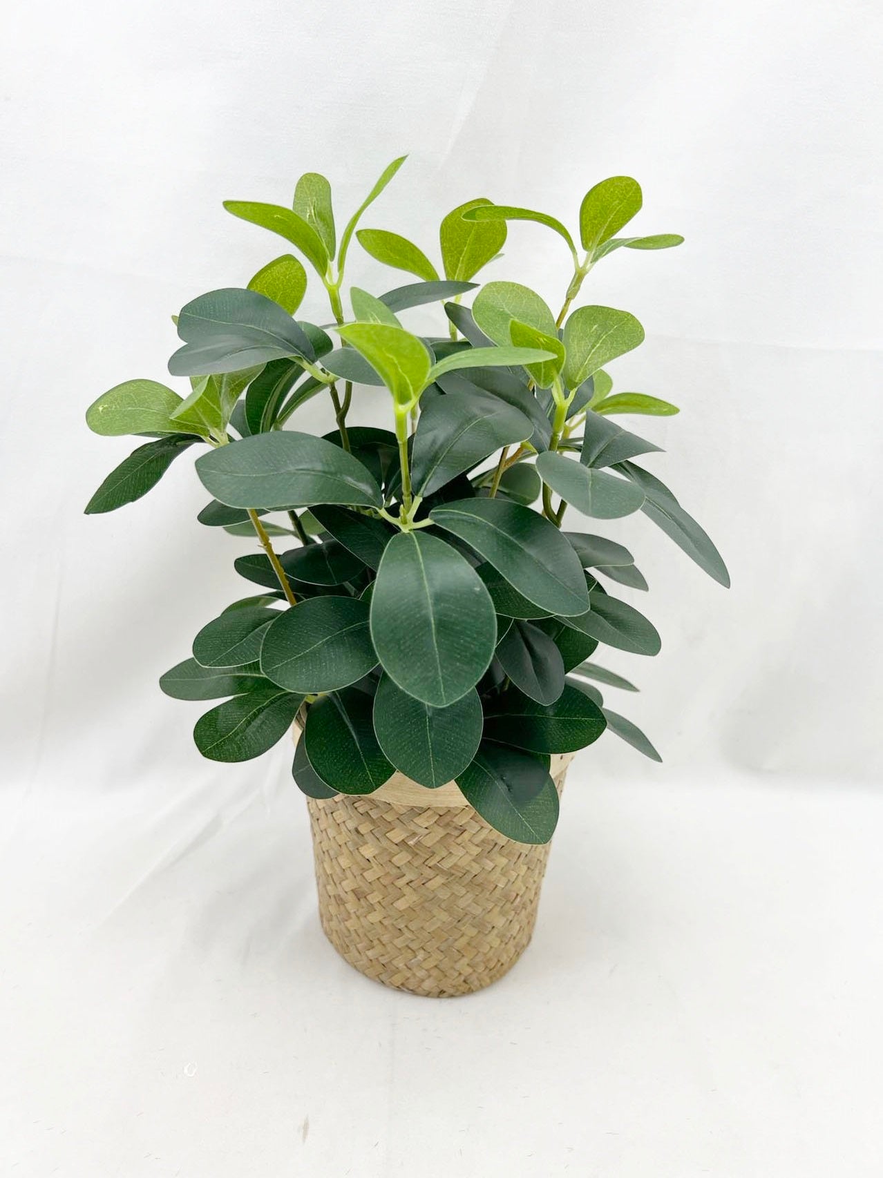 Artificial Green Plants