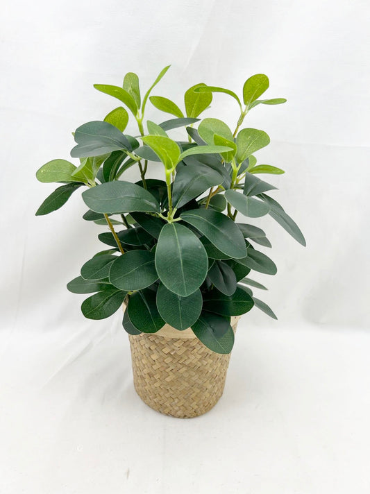 Artificial Green Plants
