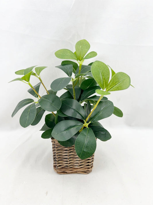 Artificial Green Plants