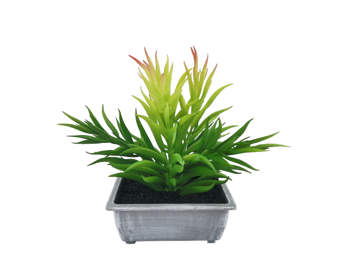 Artificial Green Plants