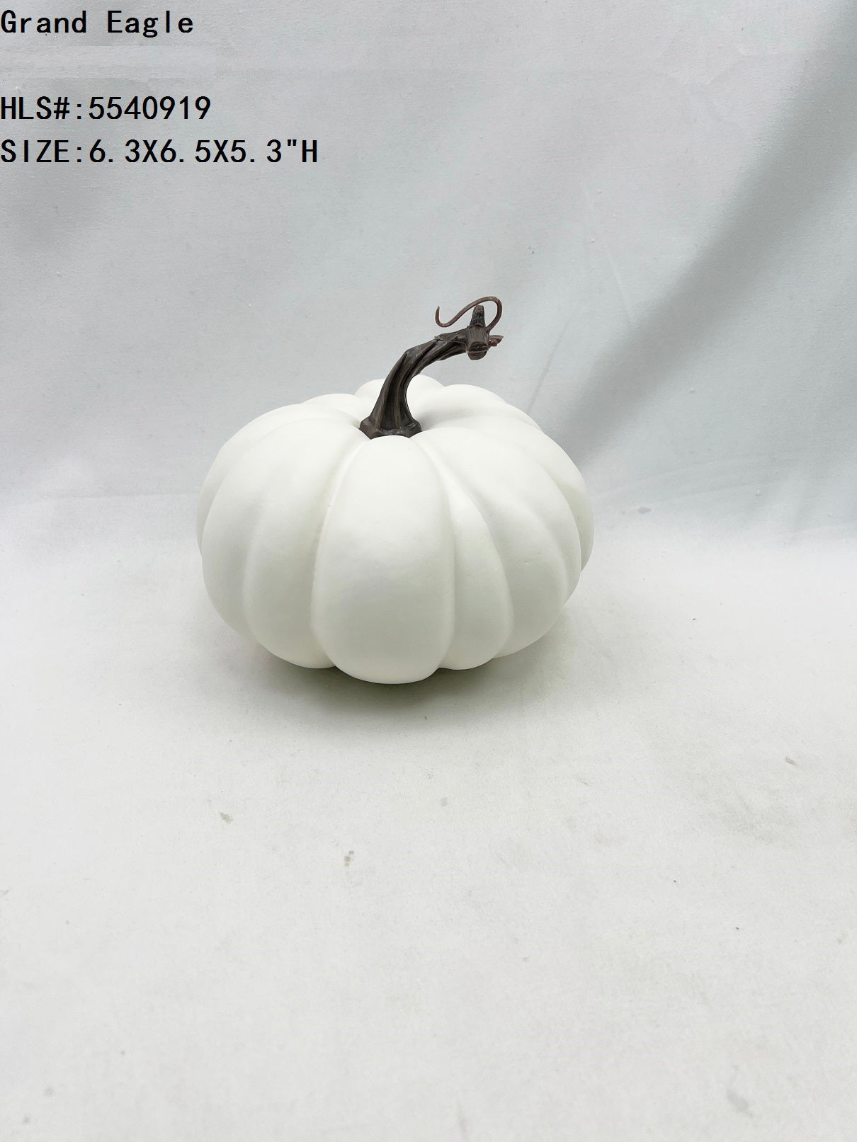 JY24-216 Classic Smooth Harvest Pumpkins (Multi-color)