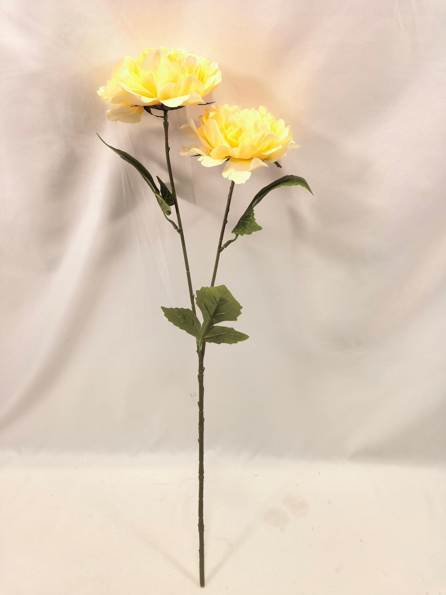 GE26-015 Double-Head Cream Peony Stem