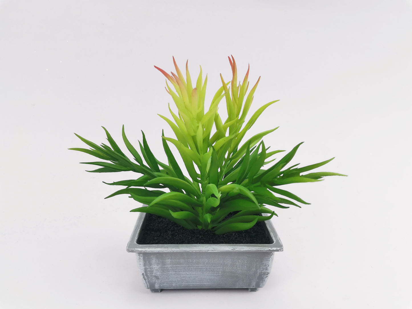 Artificial Green Plants