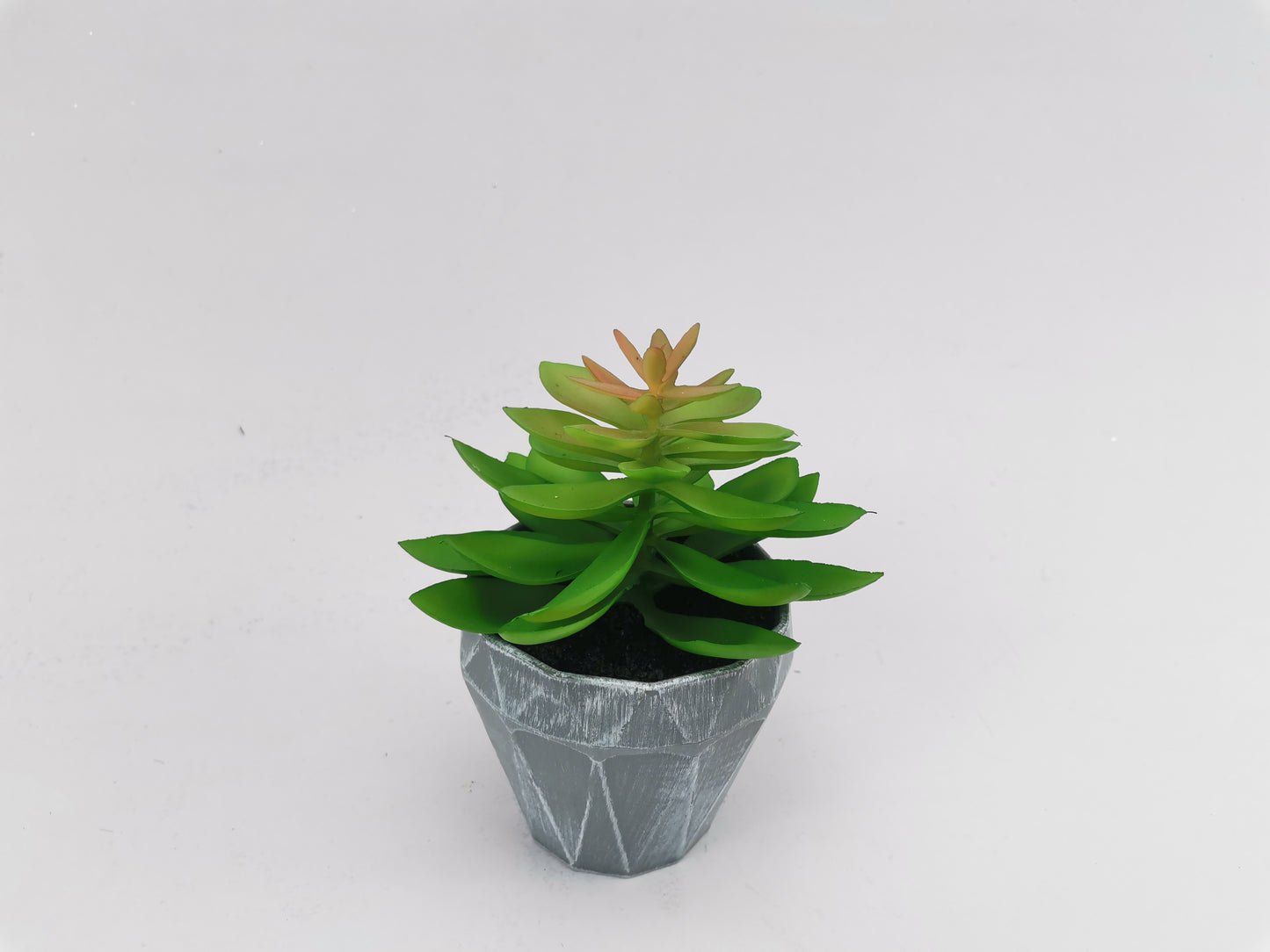Artificial Green Plants