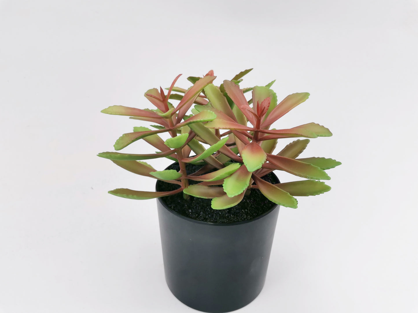 Artificial Green Plants