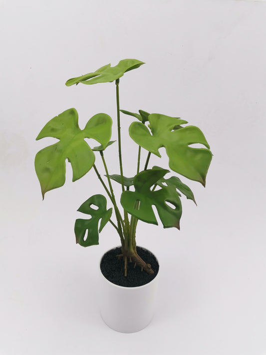 Artificial Green Plants
