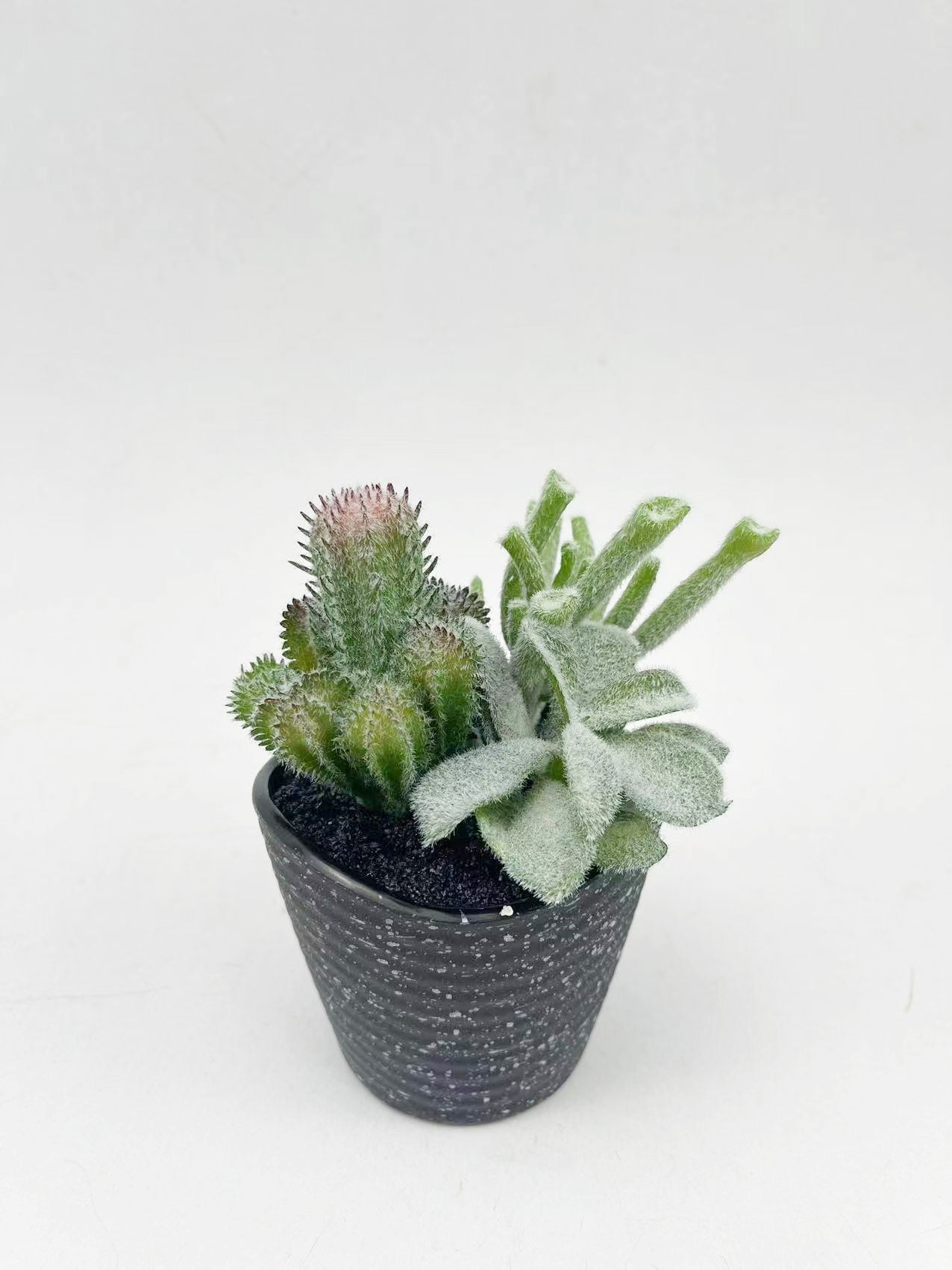 Artificial Green Plants