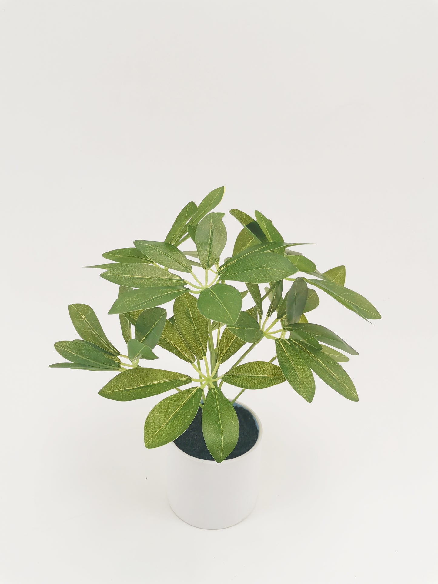 Artificial Green Plants