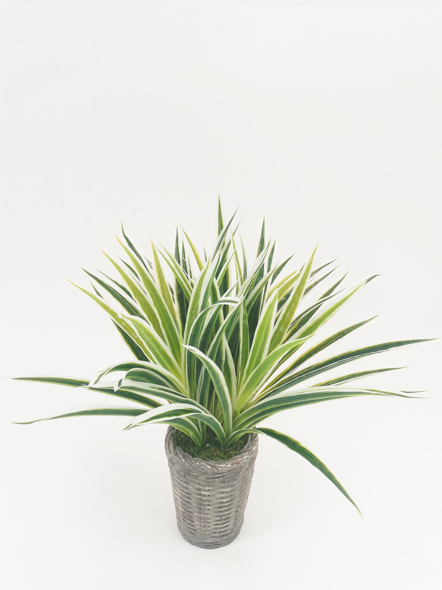 Artificial Green Plants