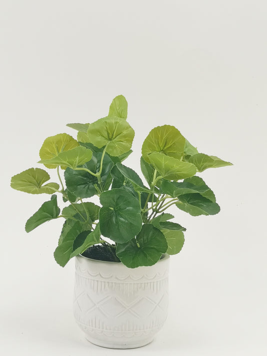 Artificial Green Plants