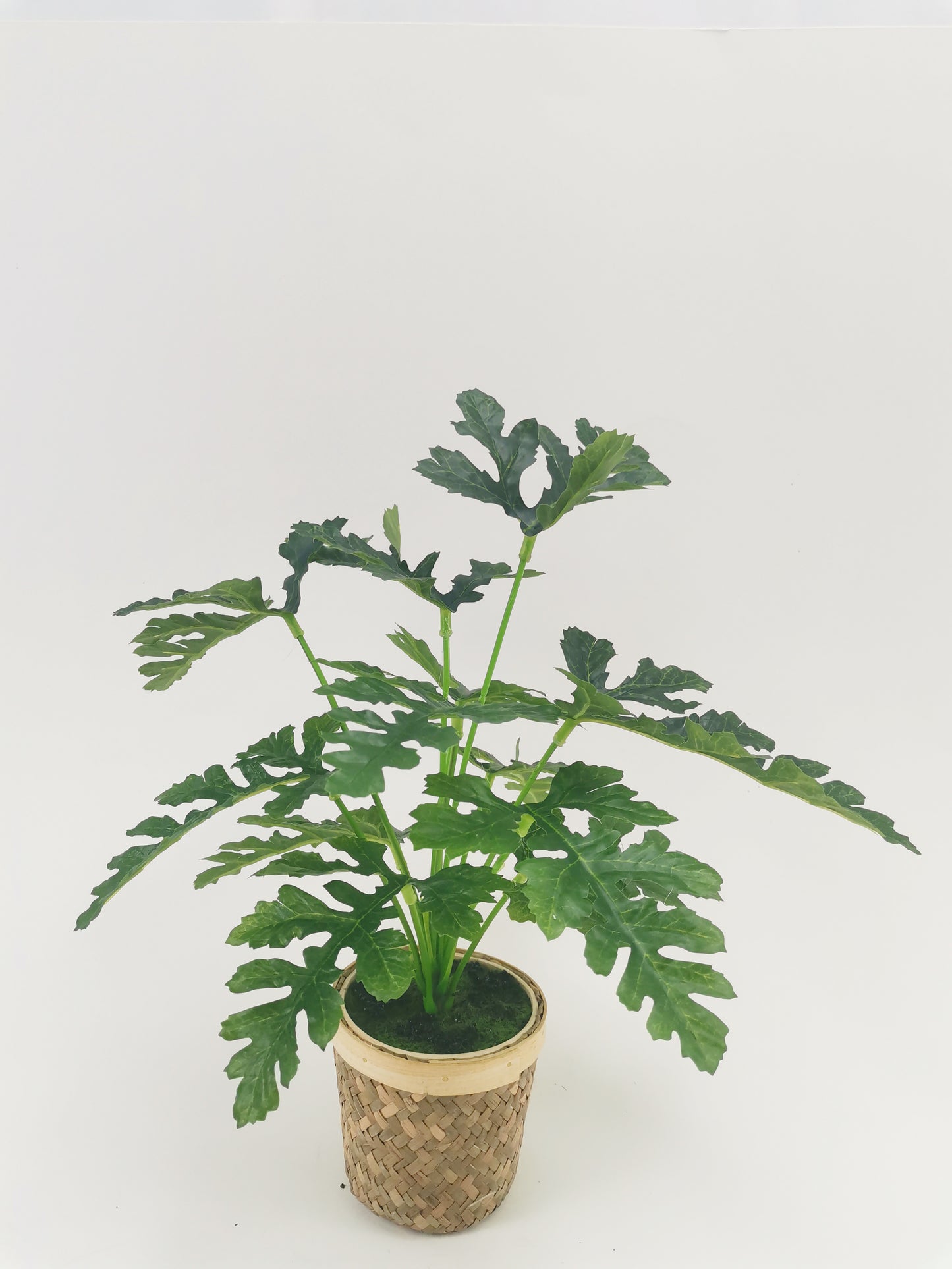 Artificial Green Plants