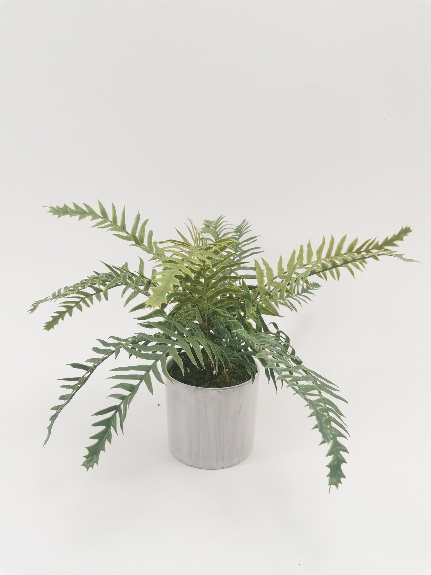 Artificial Green Plants