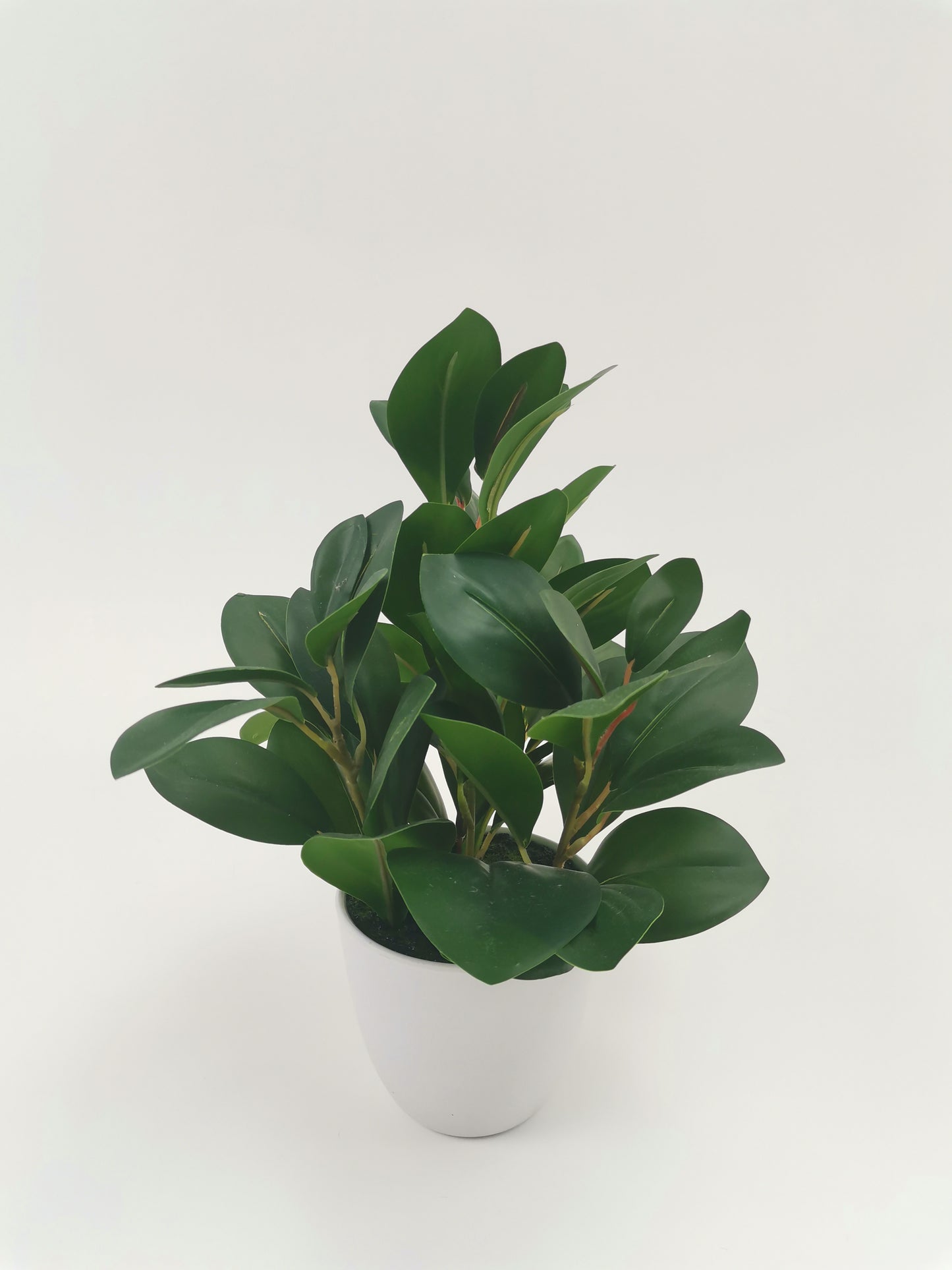 Artificial Green Plants
