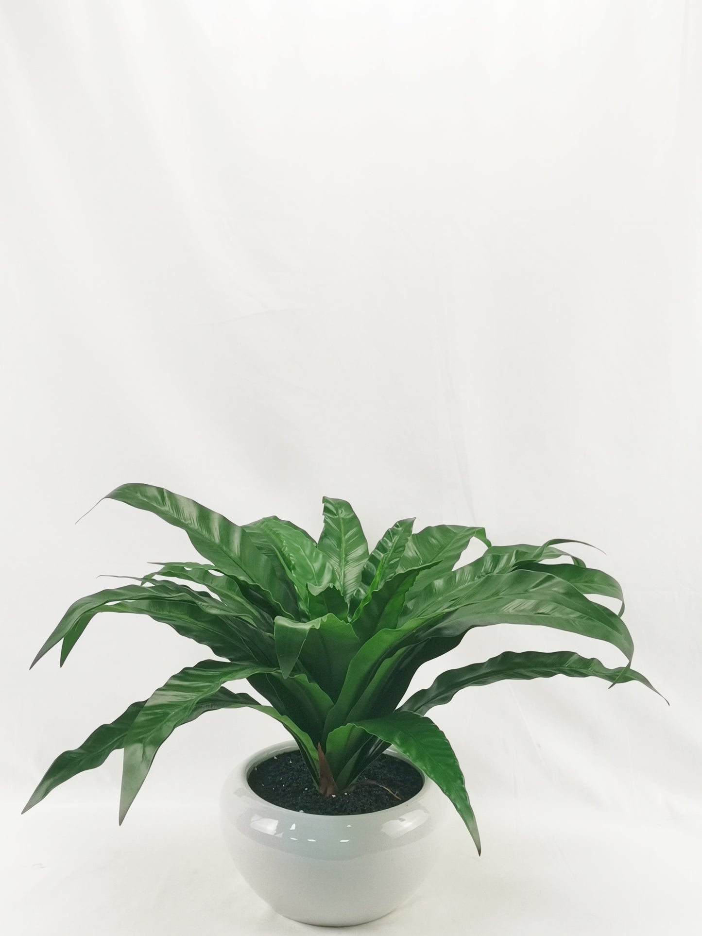 Artificial Plants