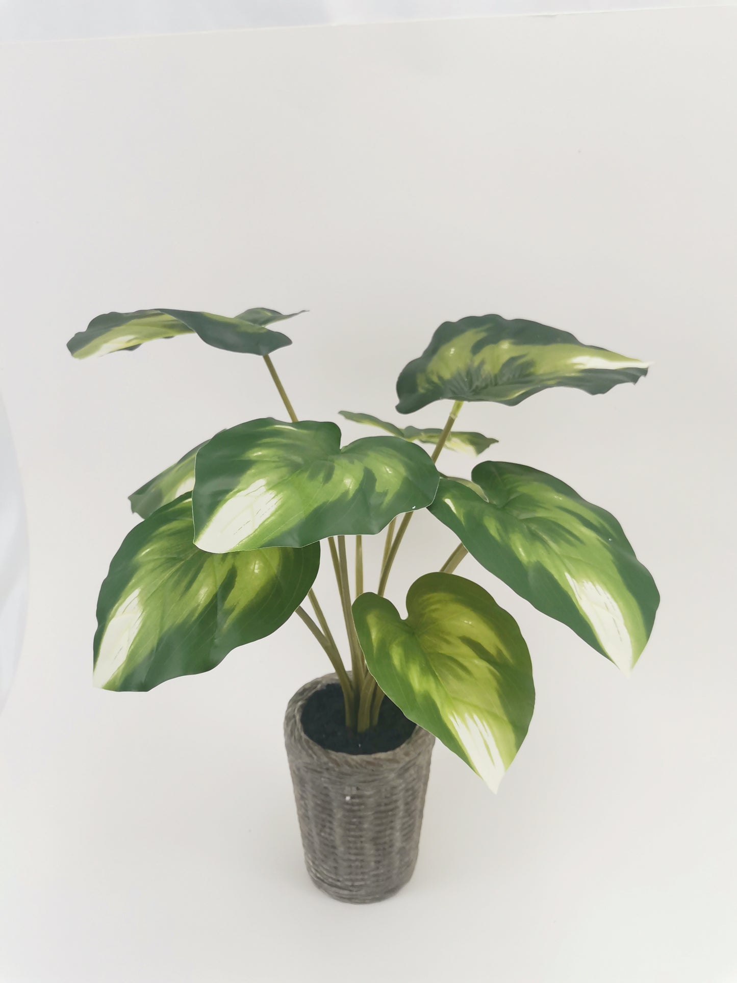Artificial Plants